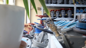 Setvana Kelebek Vanalar